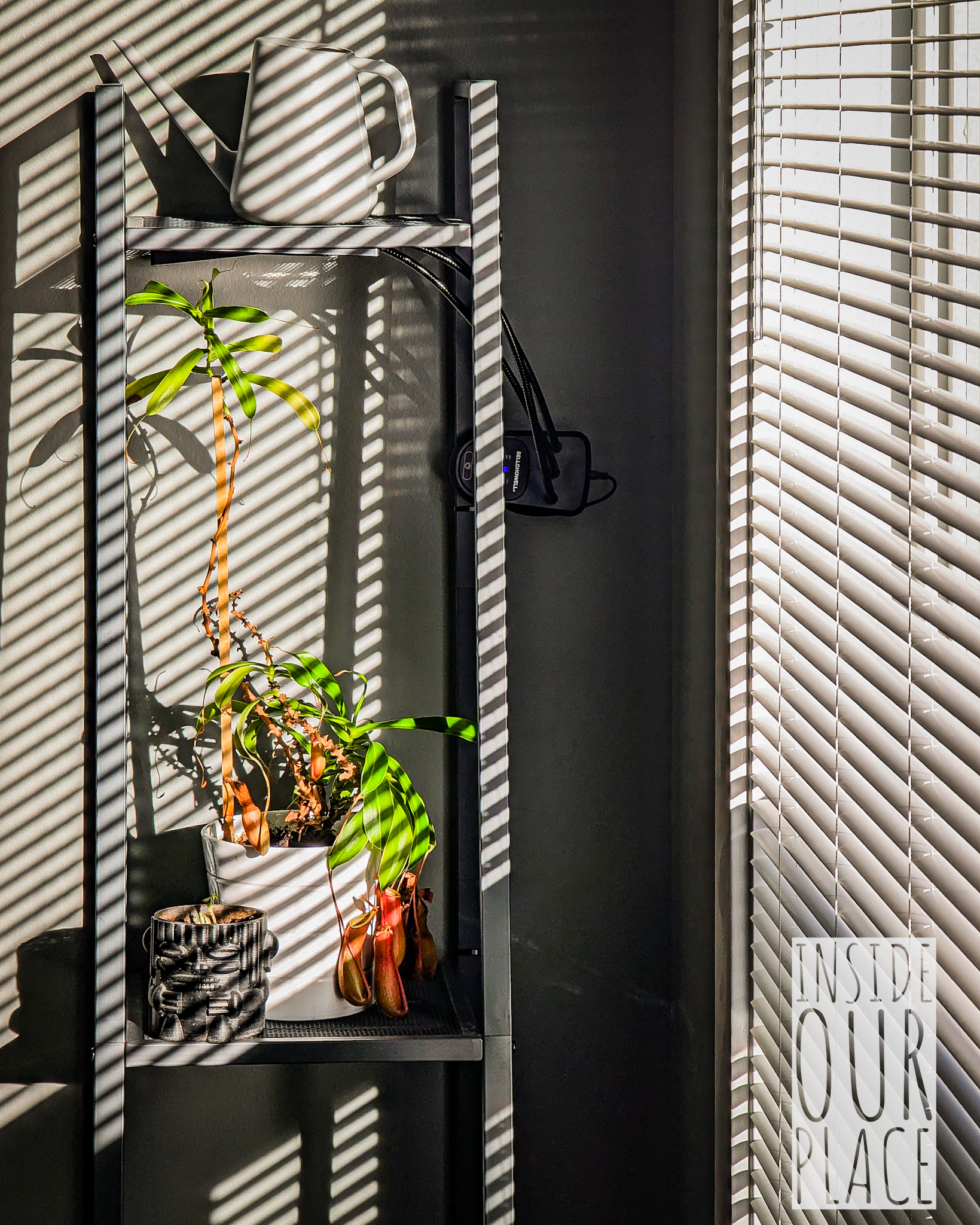 Sunshine On A Blurry Day